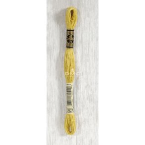 DMC Moulin&eacute; 3821