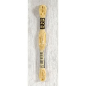 DMC Moulin&eacute; 3855