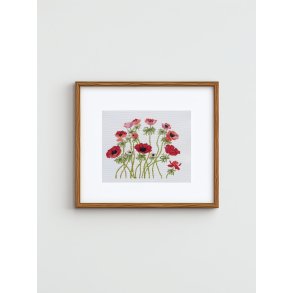 Franske Anemoner