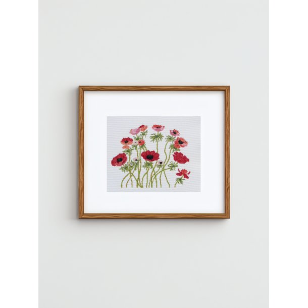 Franske Anemoner