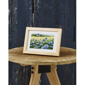 Billede med Kornblomster