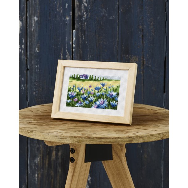 Billede med Kornblomster