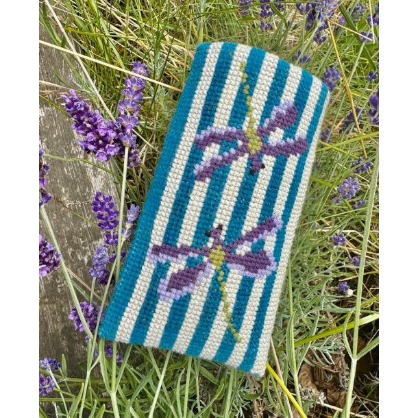 Brilleetui Dragonfly