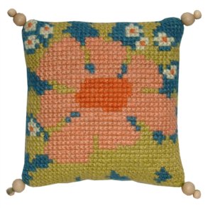 Abrikos blomst p� bl� bund