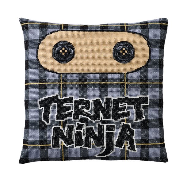 Ternet Ninja