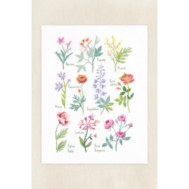 Botaniske blomster