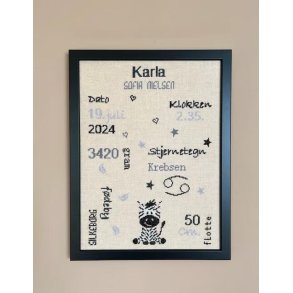 F�dselsminde Zebra